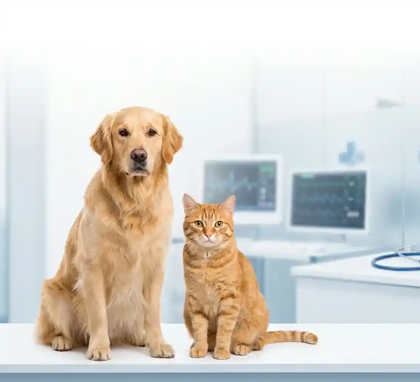 Veterinary Diagnostics Insights: US, EU and UK Trends 